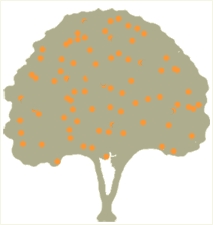 orangewiz